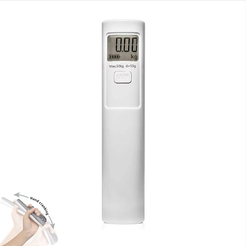 ABSS Hand Luggage Scale Power  - đánh giá và giá Luggage Scale Hanging